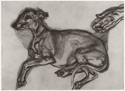 Lucian Freud
(British, born Germany 1922)
Pluto Aged Twelve
2000