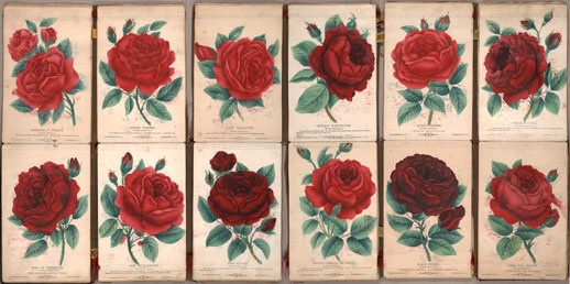 M. Brunswick &amp; Co. S. T. Cannon’s seed catalogue. c. 1900