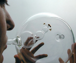 Susana Soares
Design Interactions Department, Royal College of Art
BEE'S project. Prototype. 2007