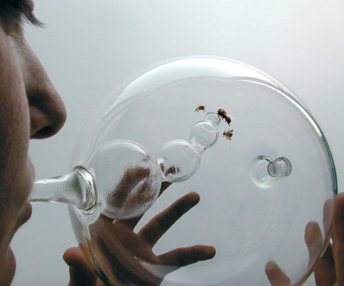 Susana Soares
Design Interactions Department, Royal College of Art
BEE'S project. Prototype. 2007
