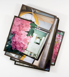 Brendan Fowler. Summer 2010 (Computer on 20” Slingerland Bass Drum, Accident/The Wood Fell on Me in Studio May 20 2010 #5, “Poster for Dialog with the Band Aids Wolf” Screens in Studio, Flower in Patty’s Gazebo 2). 2010