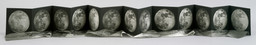 Book of accordion-folded photogravure on mold-made Hahnemuhle paper and attached photolilthograph on handmade Japanese paper
 Page: 9 11/16 x 9 11/16" (24.3 x 24.3 cm); unfolded: 19 1/4" x 10' 6 1/4" (48.9 cm x 320.7 cm)
 Published and printer: The LeRoy Neiman Center for Print Studies, Columbia University, New York
 Edition: 39
 The Museum of Modern Art, New York. Mary Ellen Meehan Fund, 1999
 ©Kiki Smith
