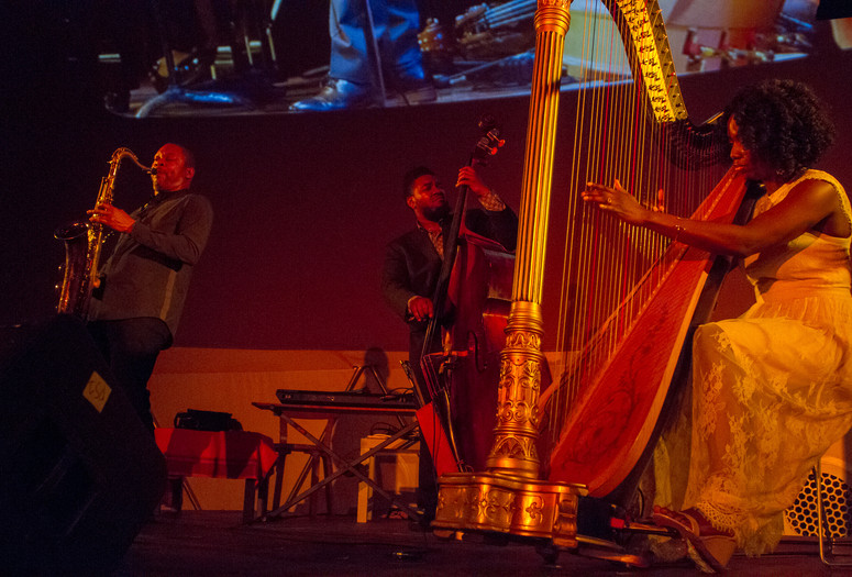 Monastic and Ecstatic: A Glimpse into the Life and Legacy of Alice Coltrane on February 11, 2018. Presented at MoMA PS1 as part of VW Sunday Sessions 2017-2018. Photography: Derek Schultz.