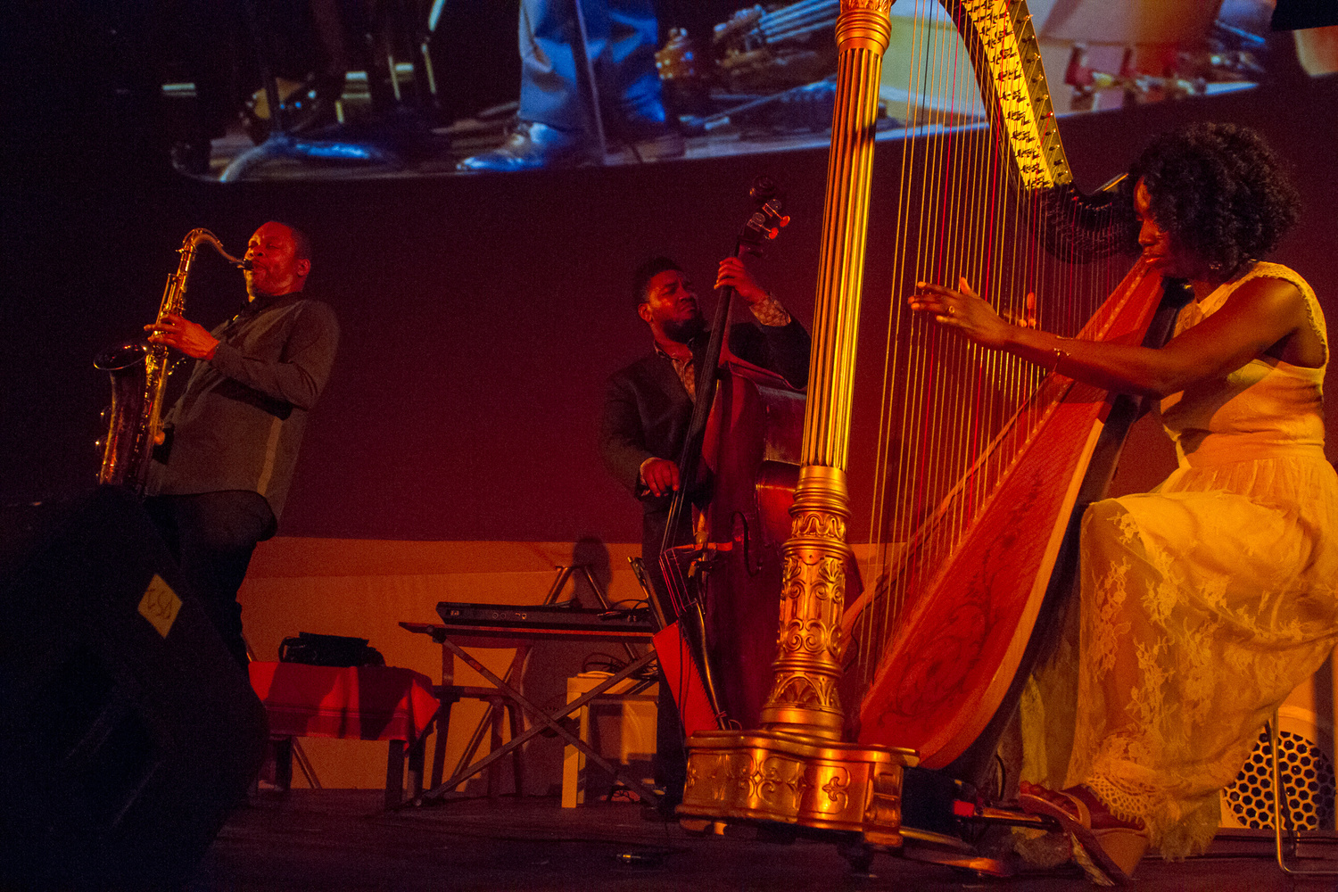 Monastic and Ecstatic: A Glimpse into the Life and Legacy of Alice Coltrane on February 11, 2018, presented at MoMA PS1 as part of VW Sunday Sessions 2017-2018. Photo by Derek Schultz.