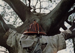 Fad’jal. 1979. Senegal. Written and directed by Safi Faye. Courtesy of the CNC