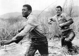 The Defiant Ones. 1958. USA. Directed by Stanley Kramer. Courtesy United Artists/Photofest