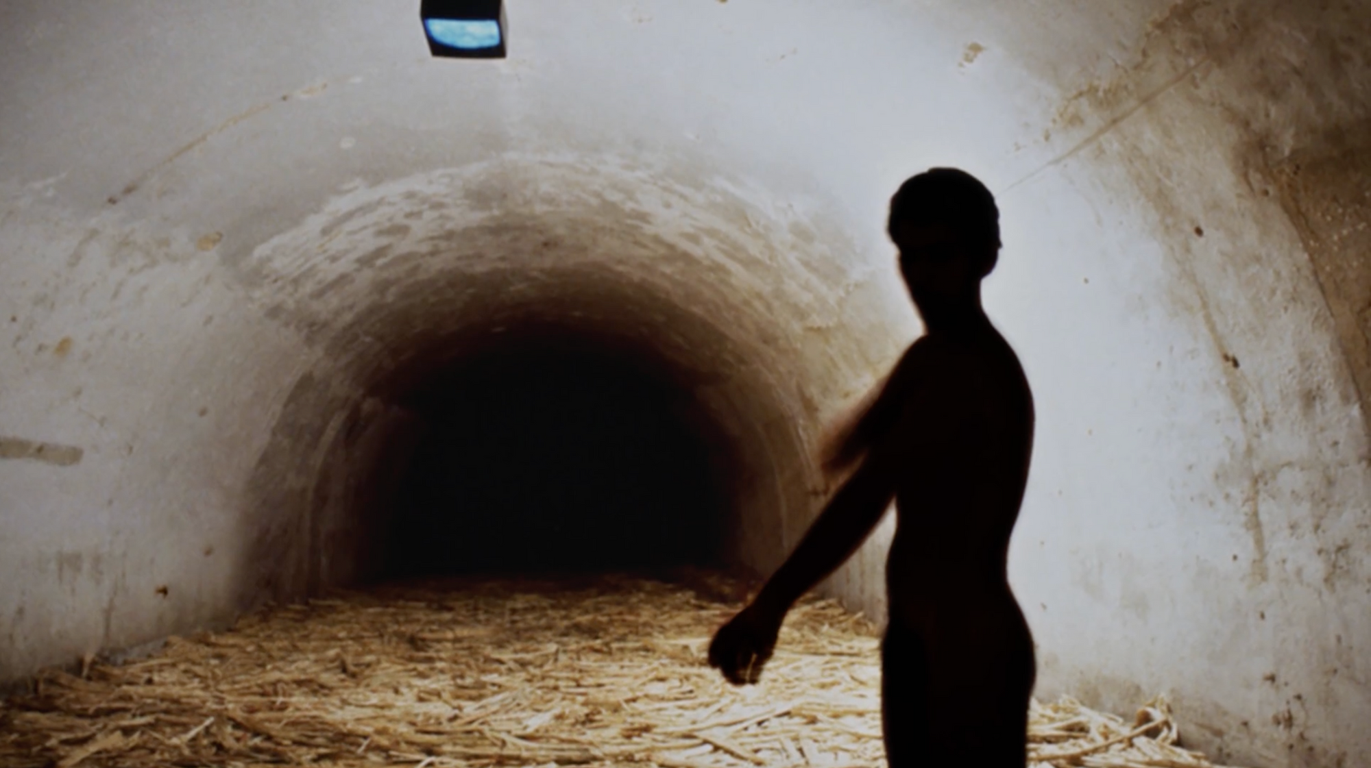 Tania Bruguera. Untitled (Havana, 2000).