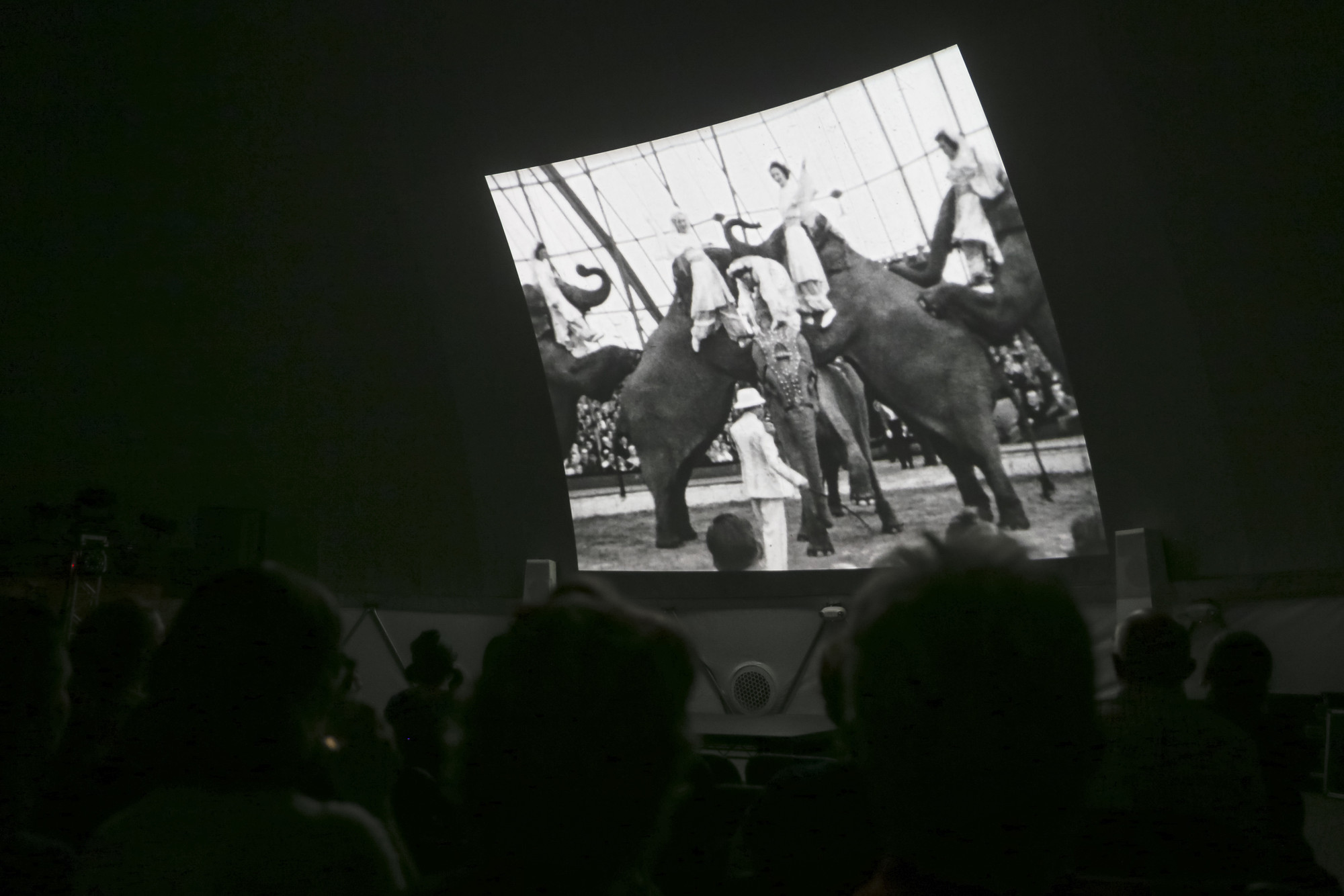The Show of Shows: 100 Years of Vaudeville, Circuses and Carnivals on April 17, 2016. Presented at MoMA PS1 as part of VW Sunday Sessions 2015-2016. Photography: Charles Roussel.