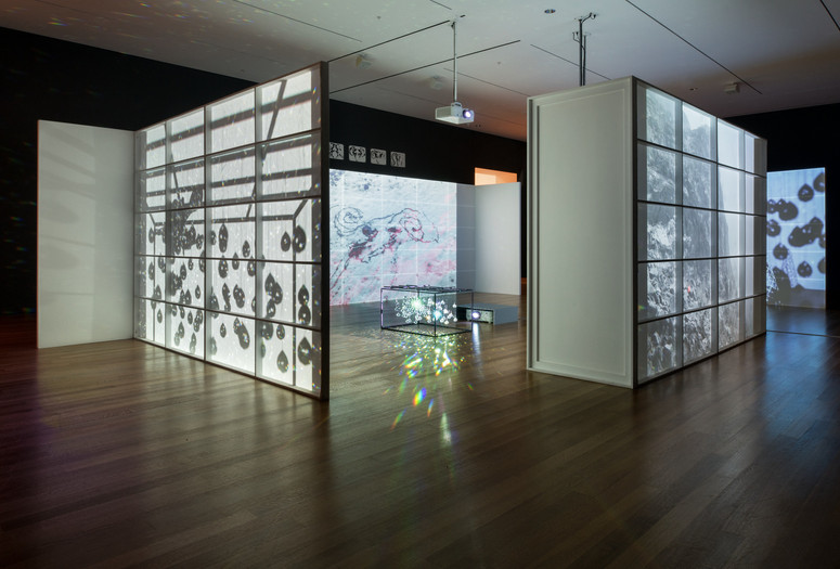 Joan Jonas. Reanimation. 2010/2012/2013. Four videos (color, sound and silent) on custom screens within a prefabricated house structure, two custom benches (made by Ed Gavagan), and crystal sculpture; two wooden theater boxes with video (color, sound and silent); 15 ink drawings on paper; three oil stick drawings on paper, and two china marker wall drawings; Soundtrack and voice: Joan Jonas; Sami yoik singing: Ánde Somby; Piano and additional sound effects: Jason Moran. Varying durations, dimensions variable. Acquired in part through The Modern Women's Fund. © 2019 Joan Jonas