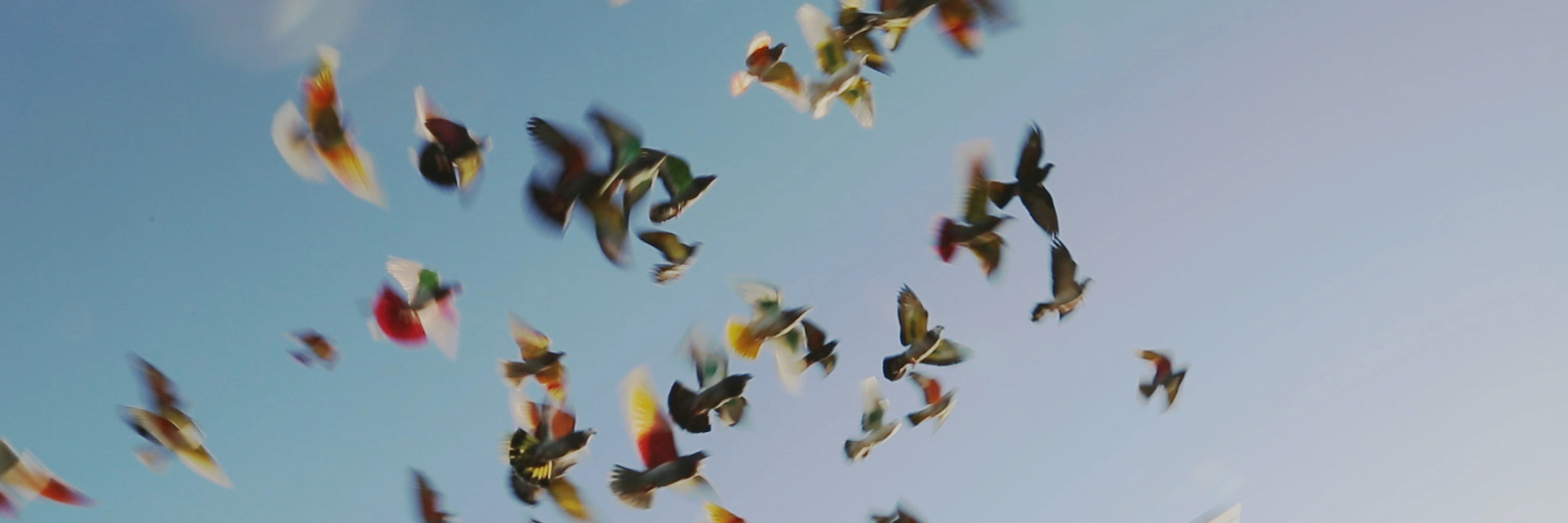 Elena López Riera. Los que desean (Those Who Desire). 2018. Digital video, 24 min. Image courtesy of Elena López Riera