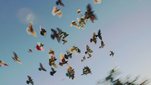 Elena López Riera. *Los que desean (Those Who Desire)*. 2018. Digital video, 24 min. Image courtesy of Elena López Riera