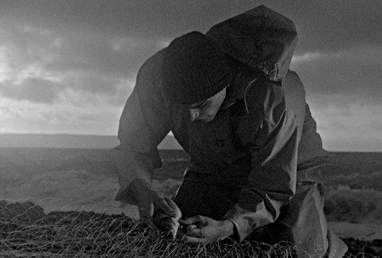 Bait. 2019. UK. Directed by Mark Jenkin