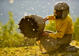 Honeyland. 2019. Macedonia. Directed by Tamara Kotevska &amp; Ljubomir Stefanov