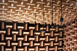 MoMA Audio: Special Exhibitions
