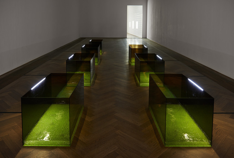 Anicka Yi. Shameplex. 2015. Plexiglass, nickel-plated straight pins, ultrasonic gel, and LED strips. 7 boxes, each box 24 × 48 × 24" (61 × 121.9 × 61 cm), overall dimensions variable. Fund for the Twenty-First Century