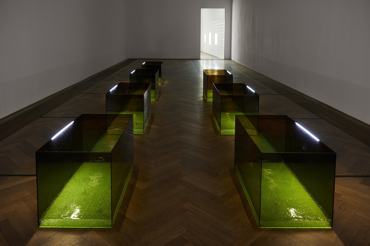 Anicka Yi. Shameplex. 2015. Plexiglass, nickel-plated straight pins, ultrasonic gel, and LED strips. 7 boxes, each box 24 × 48 × 24" (61 × 121.9 × 61 cm), overall dimensions variable. Fund for the Twenty-First Century