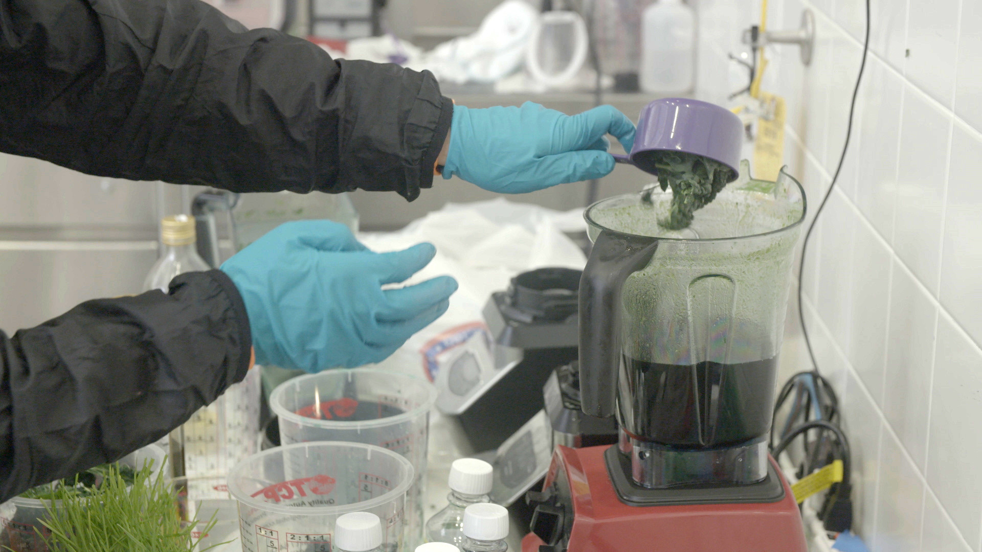 Adding kale to a blender filled with Nyquil for “Mixed Greens”—a combination of baby spinach, baby kale, lacinato kale, Nyquil, tennis ball, wheatgrass, spirulina, olive oil, and dollar bills.