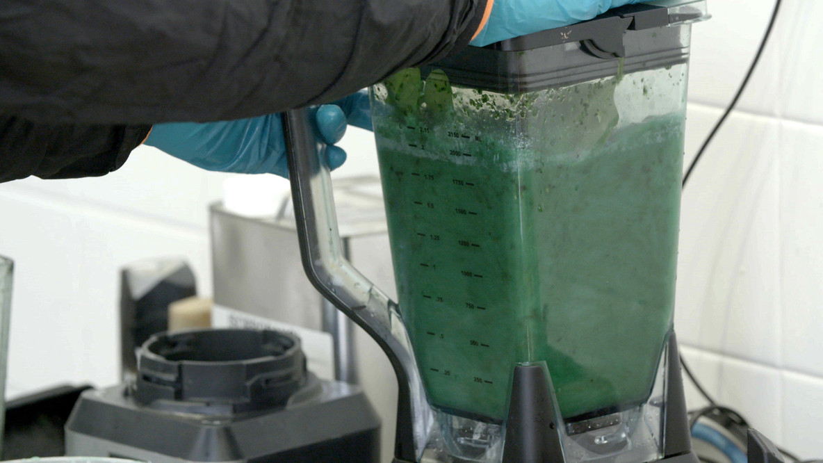 Three blenders were used to pulverize the solid ingredients into liquid form.