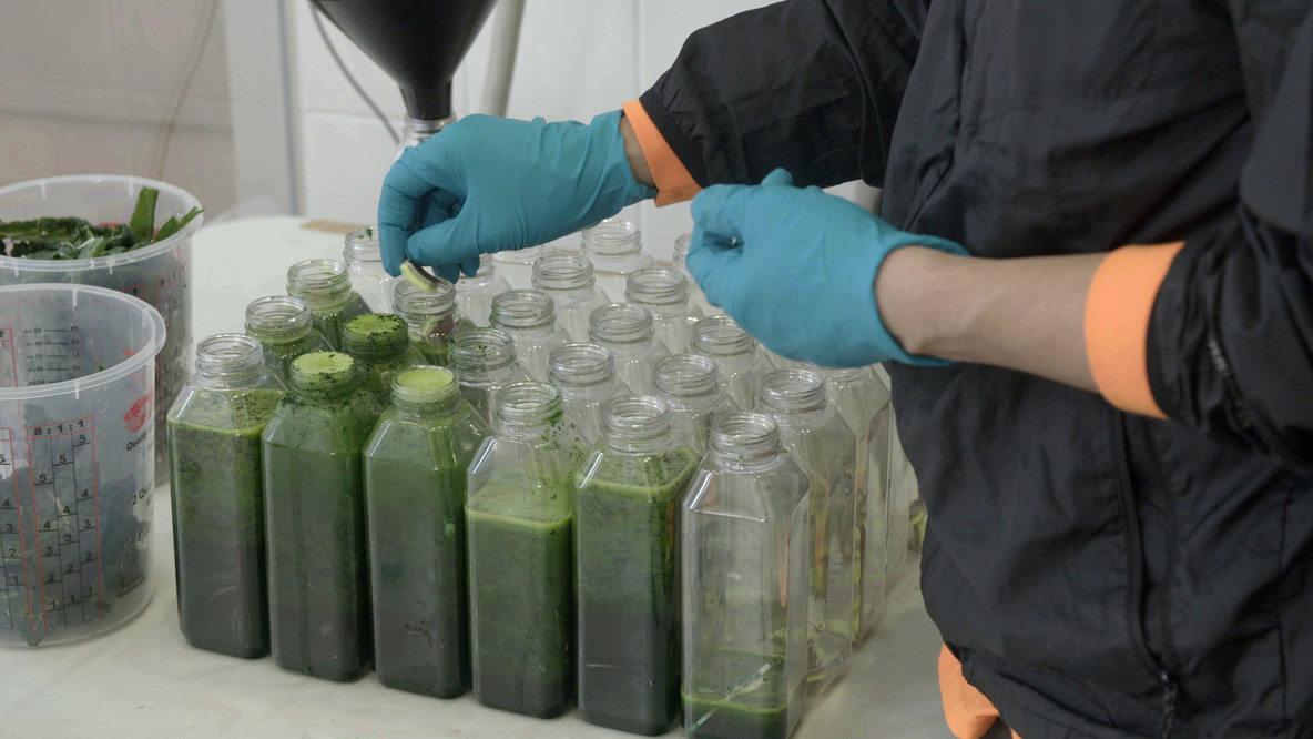 Some ingredients were not blended and were simply added at the very end. Here, the artist places pieces of the cut-up tennis balls.