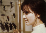 L&#39;Alliance (The Wedding Ring). 1970. France. Directed by Christian de Chalonge. Courtesy Orange Studio