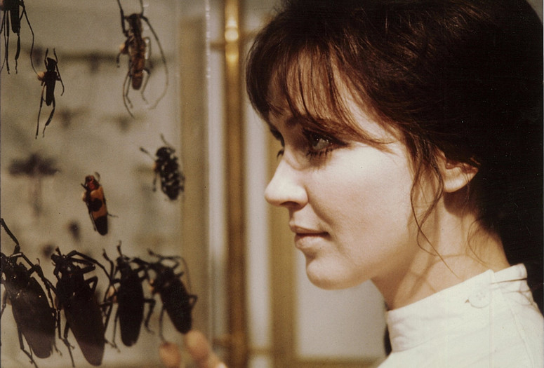 L'Alliance (The Wedding Ring). 1970. France. Directed by Christian de Chalonge. Courtesy Orange Studio
