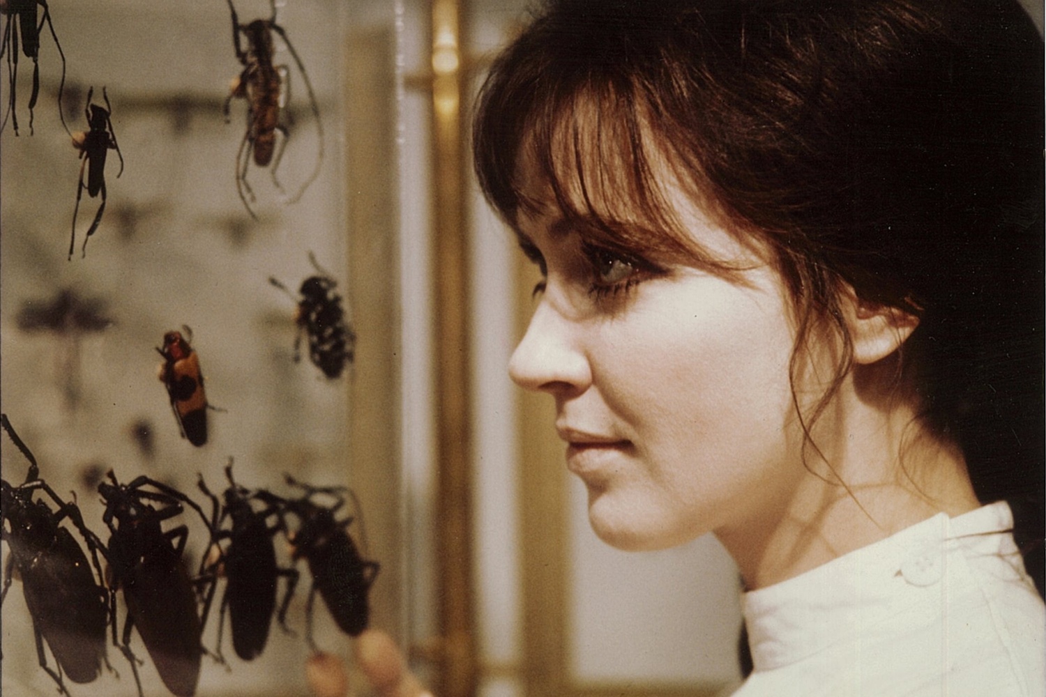 L'Alliance (The Wedding Ring). 1970. France. Directed by Christian de Chalonge. Courtesy Orange Studio