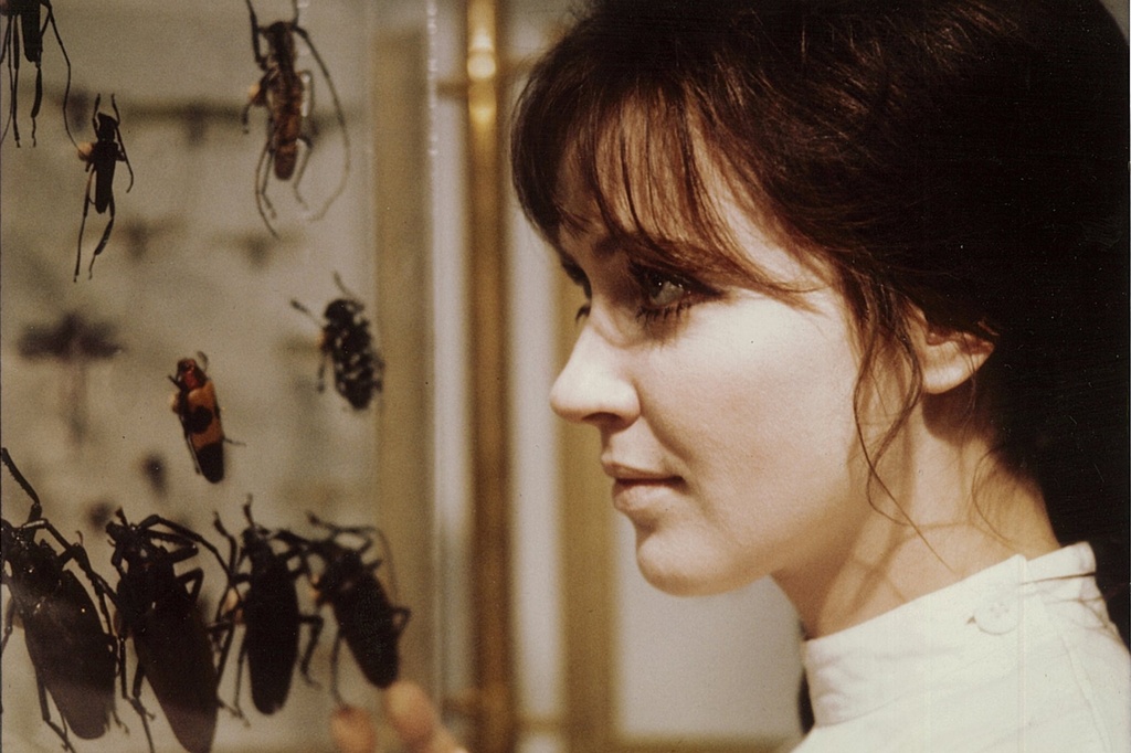 L'Alliance (The Wedding Ring). 1970. France. Directed by Christian de Chalonge. Courtesy Orange Studio