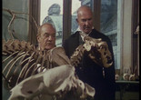 Bouvard et Pécuchet (Bouvard and Pecuchet). 1989. Directedby Jean-Daniel Verhaeghe. Courtesy Lagardère Studios Distribution.