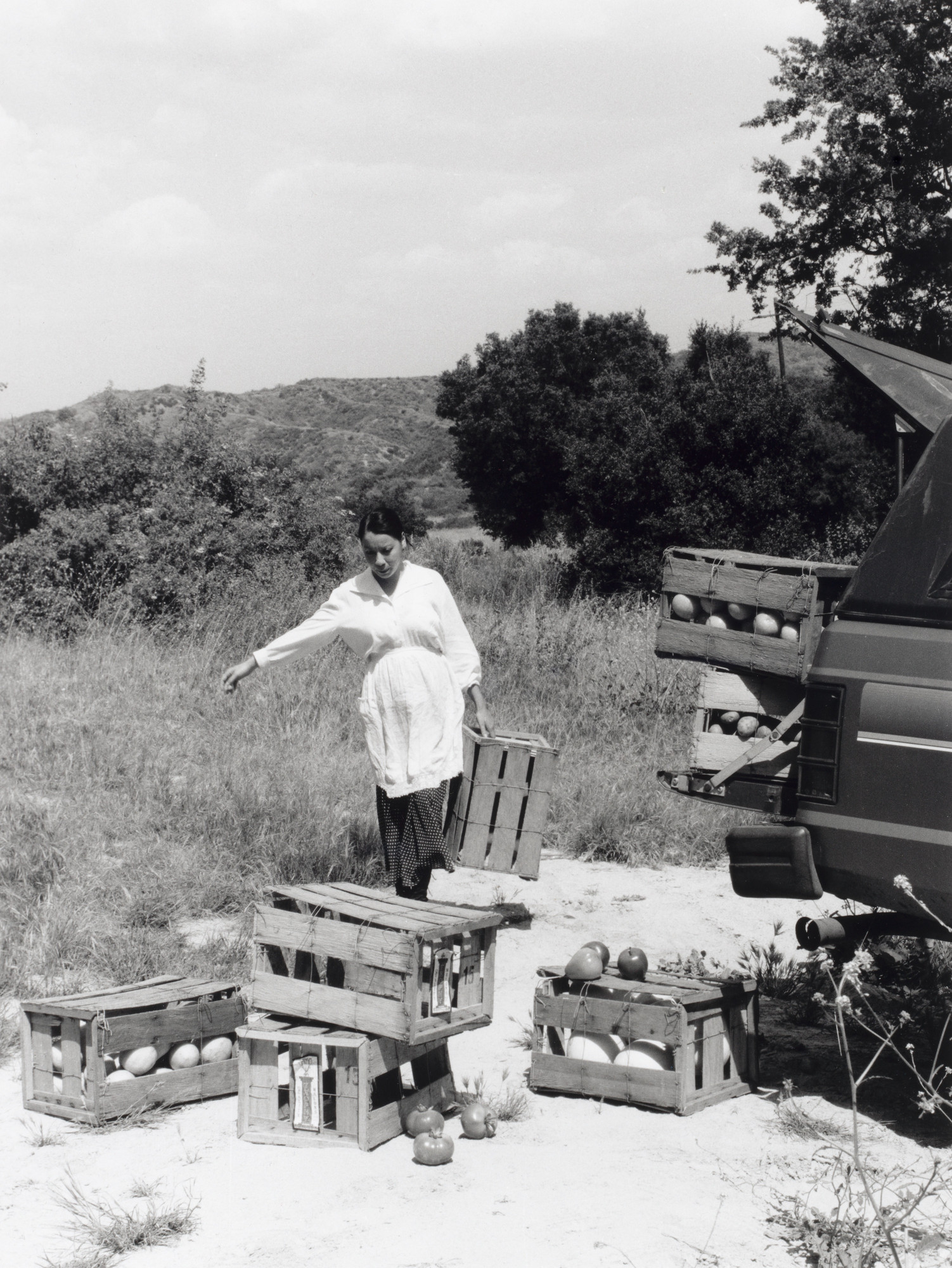 1930, Transporting produce, outskirts of Phoenix, Arizona