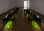 Anicka Yi. Shameplex. 2015. Plexiglass, nickel-plated straight pins, ultrasonic gel, and LED strips. 7 boxes, each box 24 × 48 × 24&#34; (61 × 121.9 × 61 cm), overall dimensions variable. Fund for the Twenty-First Century