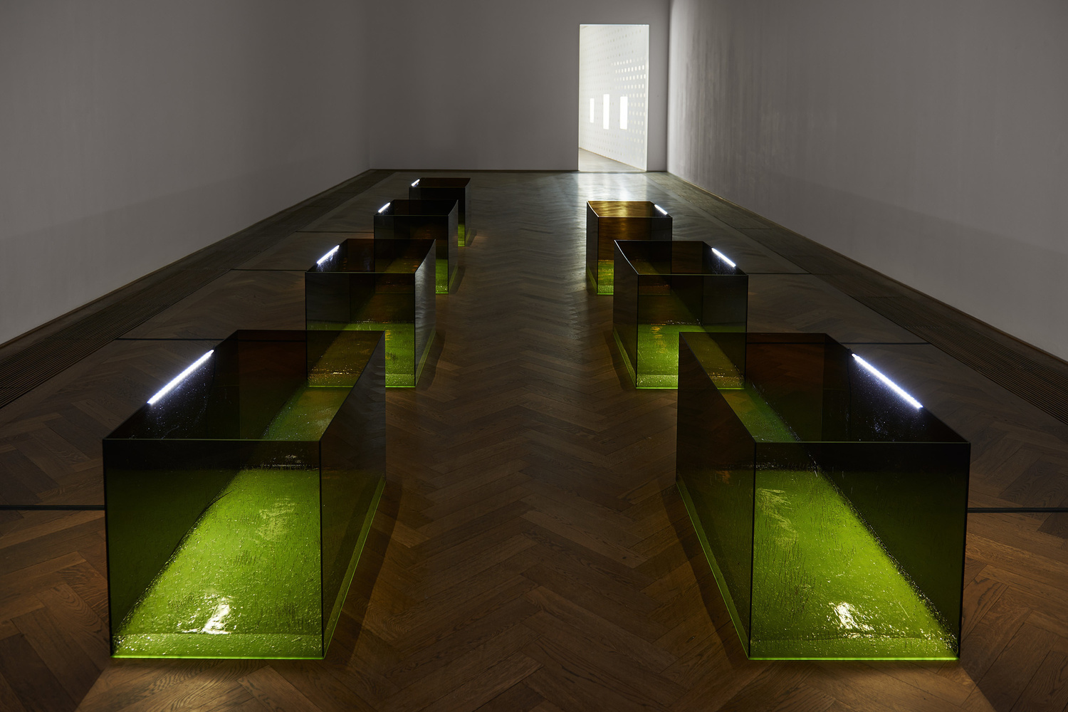Anicka Yi. Shameplex. 2015. Plexiglass, nickel-plated straight pins, ultrasonic gel, and LED strips. 7 boxes, each box 24 × 48 × 24" (61 × 121.9 × 61 cm), overall dimensions variable. Fund for the Twenty-First Century