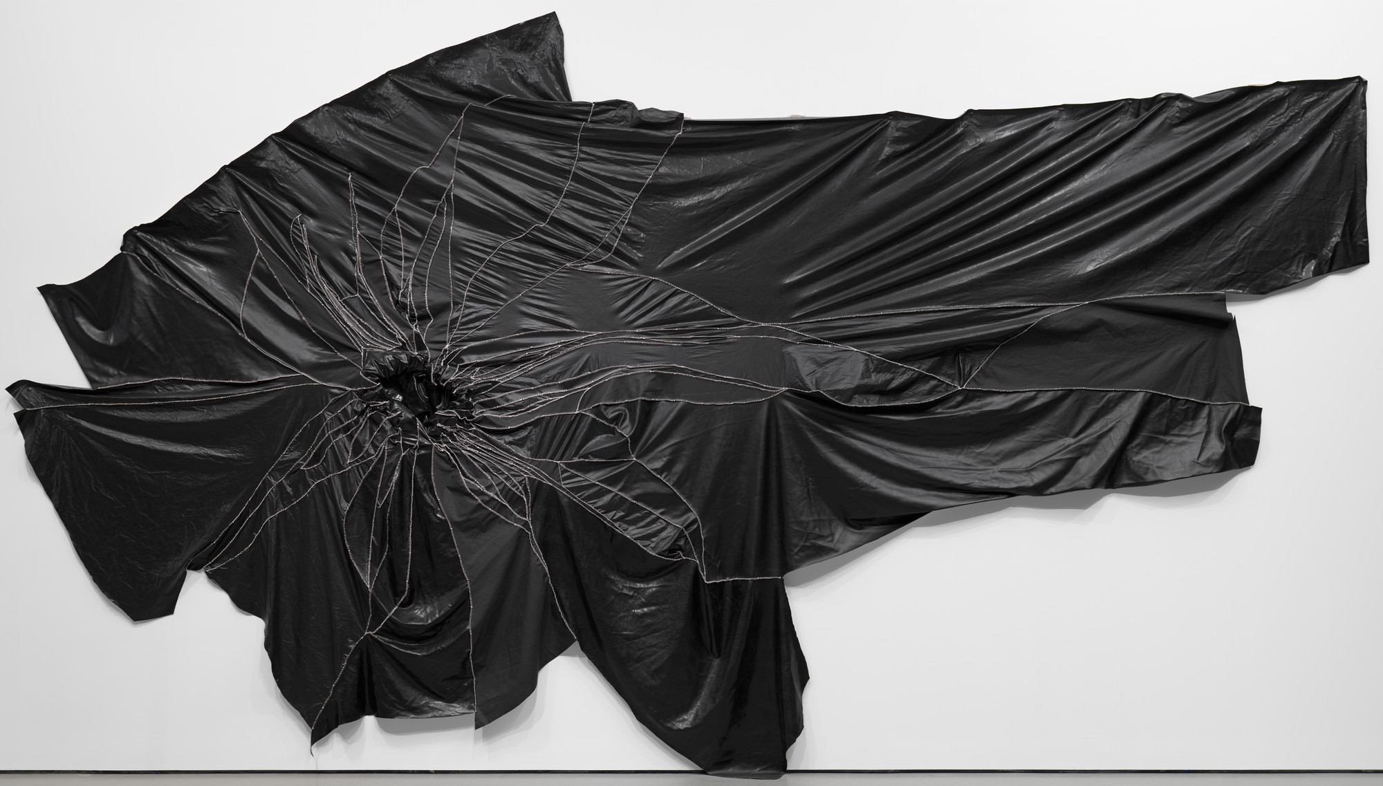 Rodney McMillian. Succulent. 2010