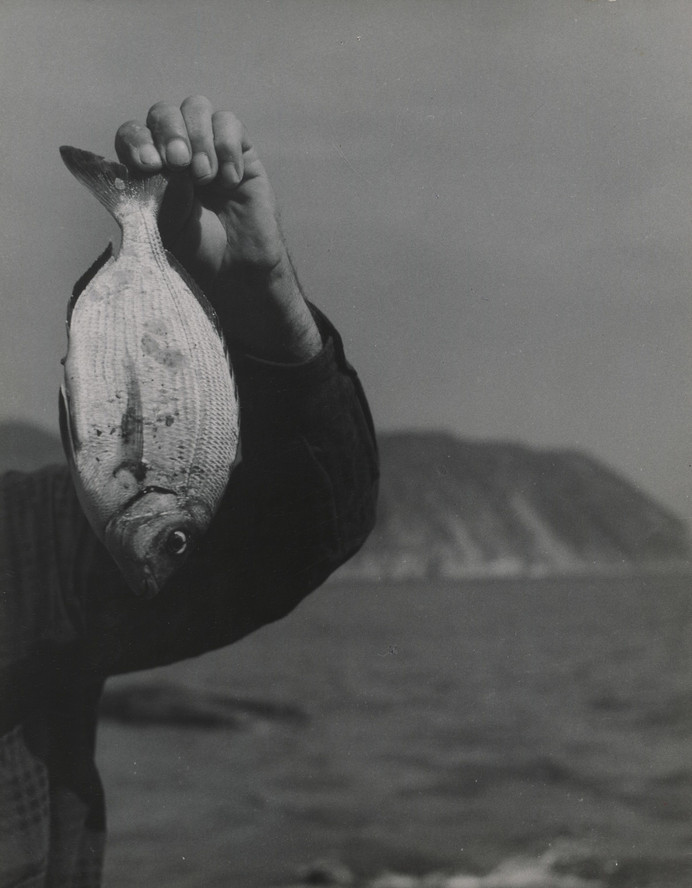 Emmy Andriesse. White Fish and Arm. c. 1950