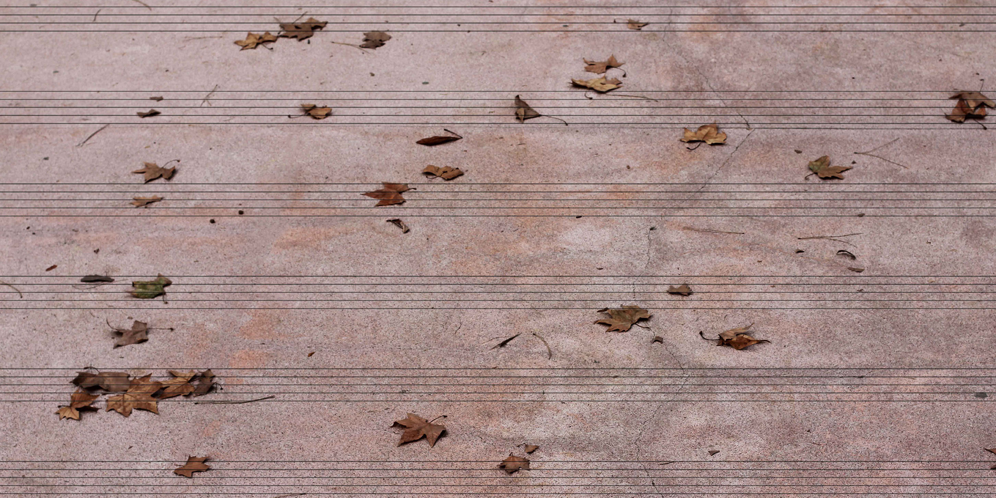 Glenda León. Listening to the Autumn. 2011. Courtesy the artist