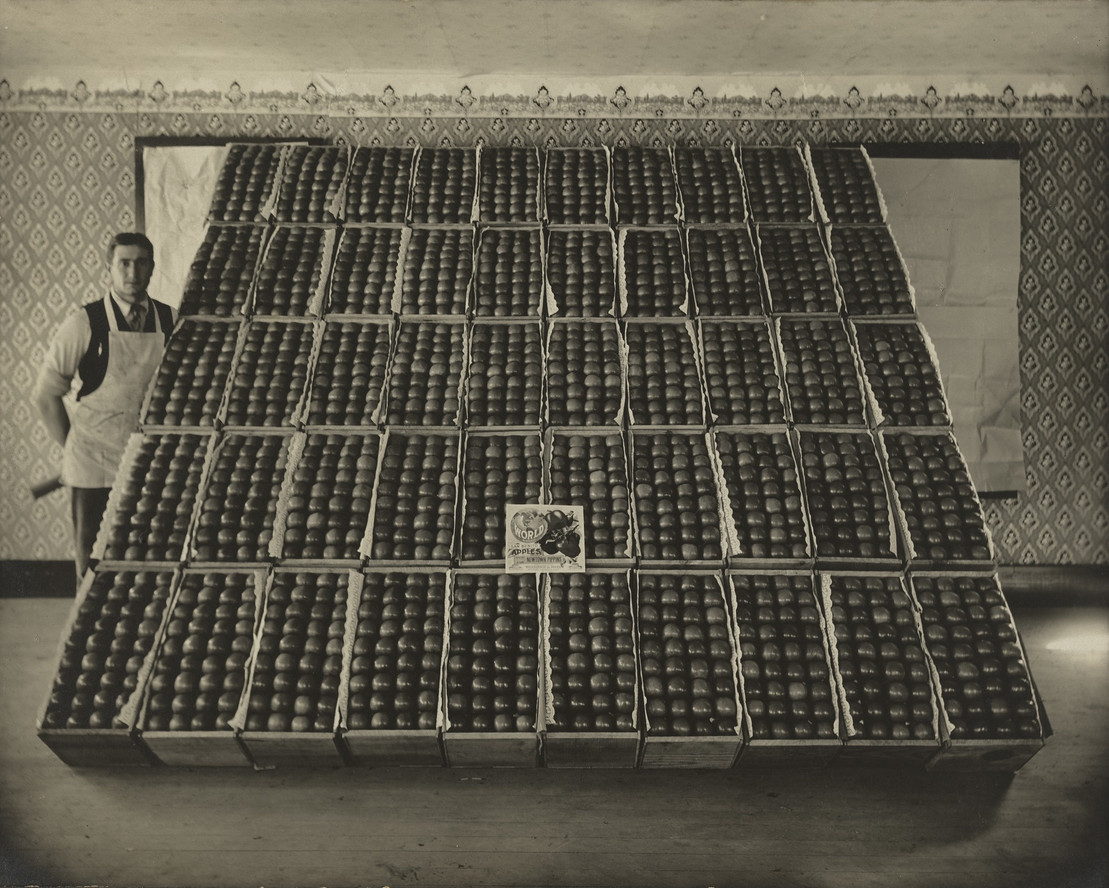 H.H. Blakesly. Newtown Pippin Apples. c. 1925