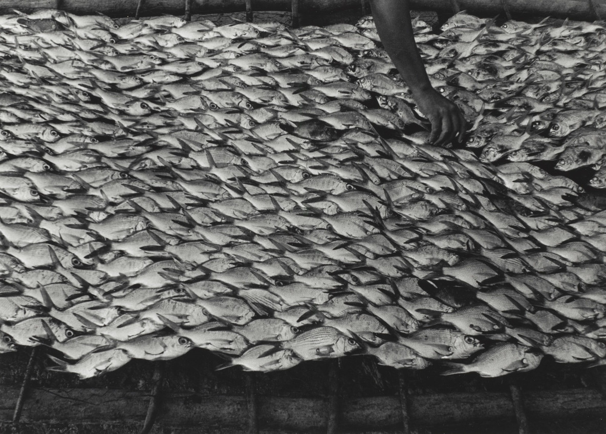 Graciela Iturbide. Pescaditos de Oaxaca, Mexico. 1992