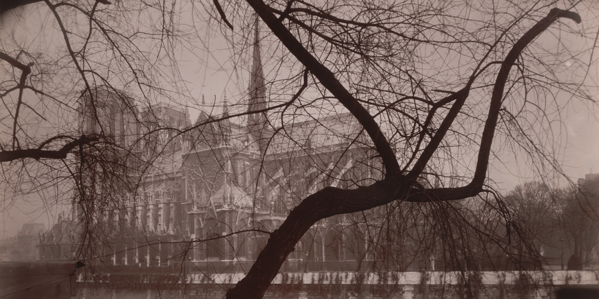 Eugène Atget. Notre-Dame. 1925. Gelatin silver printing-out-paper print, approx. 7 x 8 7/8" (17.8 x 22.5 cm). Abbott-Levy Collection. Partial gift of Shirley C. Burden