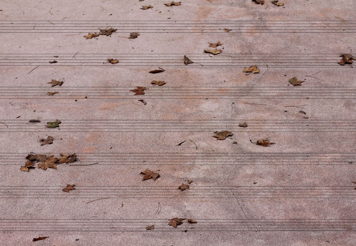 Glenda León. Listening to the Autumn. 2011. Courtesy the artist