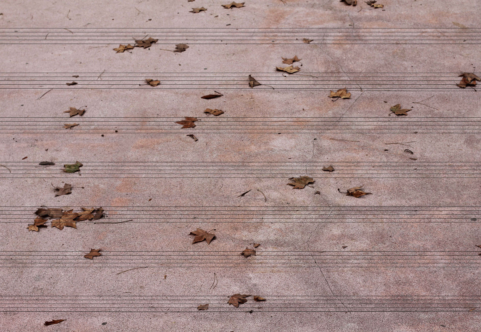 Glenda León. Listening to the Autumn. 2011. Courtesy the artist