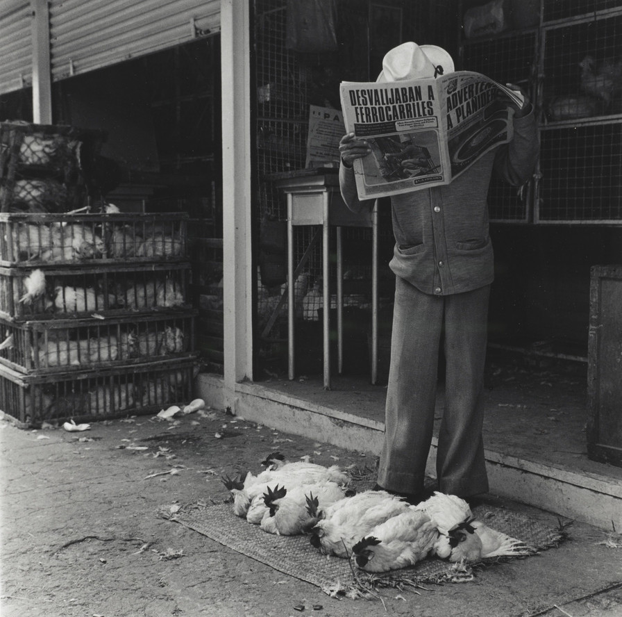 Graciela Iturbide. Mercado de Sonora, Mexico City. 1978