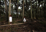 Allison Janae Hamilton. Sisters, Walkulla Country, FL, 2019. Archival pigment print, 24 × 36 in. Courtesy the artist.