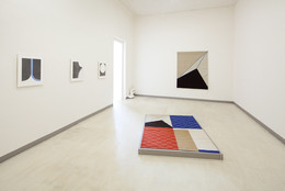 The Little Things Could Be Dearer, 2014. Installation view at MoMA PS1, 2014. © MoMA PS1; Photo: Matthew Septimus.