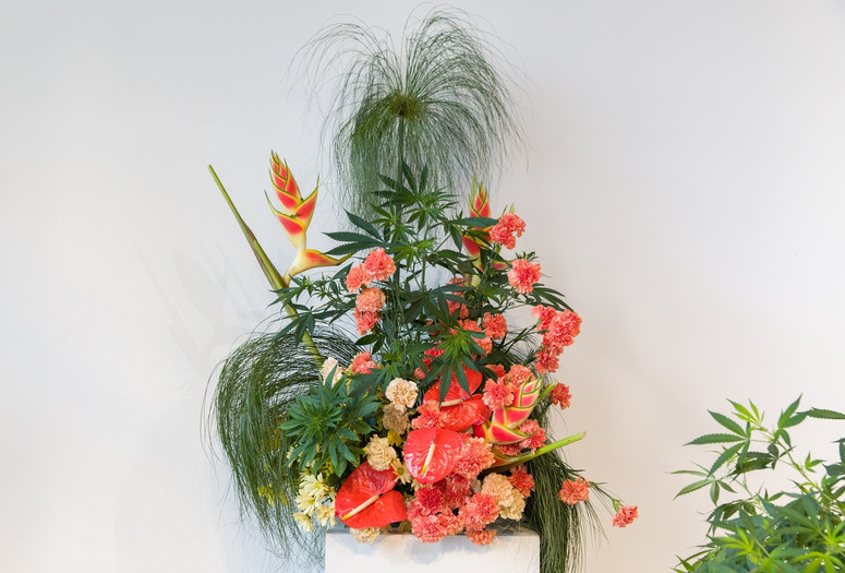 Hothouse: Flowers and Cannabis Culture with Broccoli Magazine. 2019. Presented at MoMA PS1 as part of VW Sunday Sessions 2018-2019. Photo by Walter Wlodarczyk