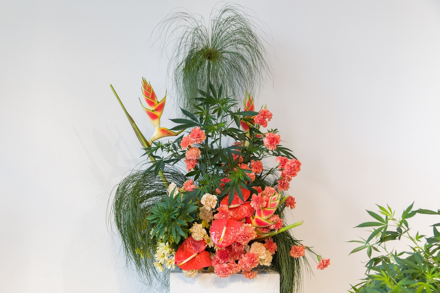 Hothouse: Flowers and Cannabis Culture with Broccoli Magazine. 2019. Presented at MoMA PS1 as part of VW Sunday Sessions 2018-2019. Photo by Walter Wlodarczyk