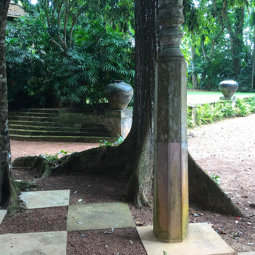 Outside the Garden Room and Red Terrace, Lunuganga Estate