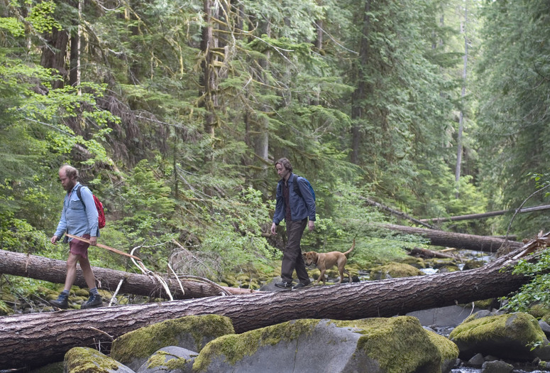 Old Joy. 2006. USA. Directed by Kelly Reichert. Courtesy Kino/Photofest