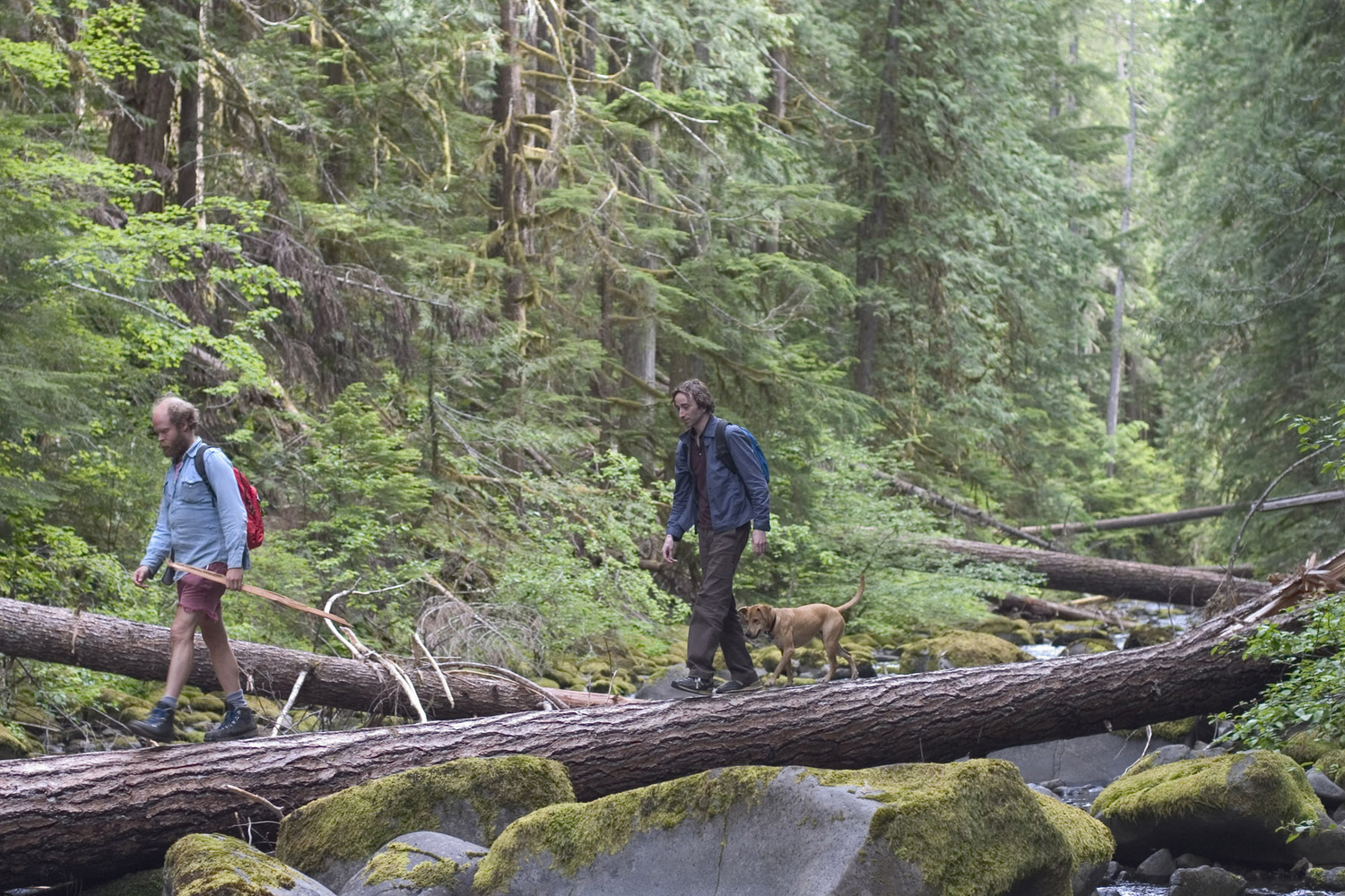 Old Joy. 2006. USA. Directed by Kelly Reichert. Courtesy Kino/Photofest