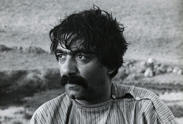 The Cow. 1969. Iran. Directed by Dariush Mehrjui. Courtesy Audio Brandon/Photofest