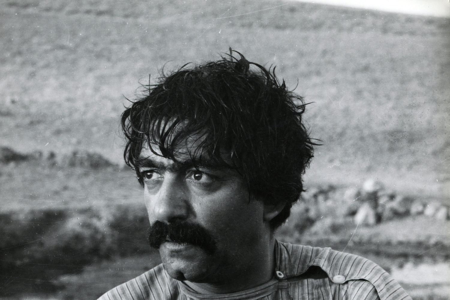 The Cow. 1969. Iran. Directed by Dariush Mehrjui. Courtesy Audio Brandon/Photofest