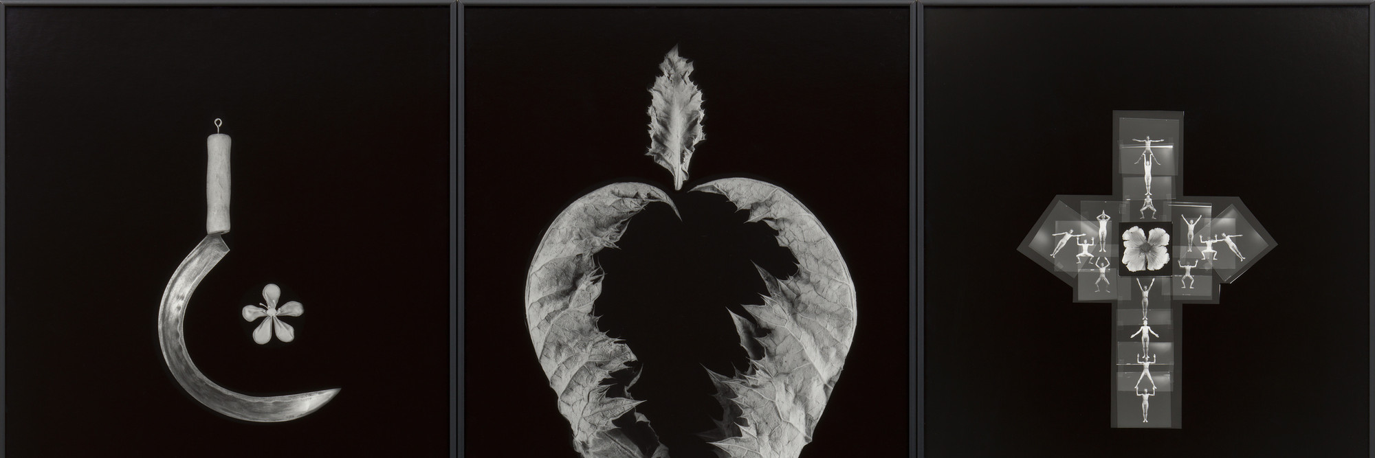 Zofia Kulik. The Splendor of Myself II. 1997. Nine gelatin silver prints, overall 59 1/16 × 42 ½” (150 × 108 cm). Acquired with support from The Modern Women’s Fund. © 2019 Zofia Kulik